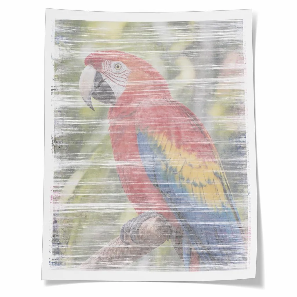 Folha impressa com falhas, faixas e cores borradas antes do reparo